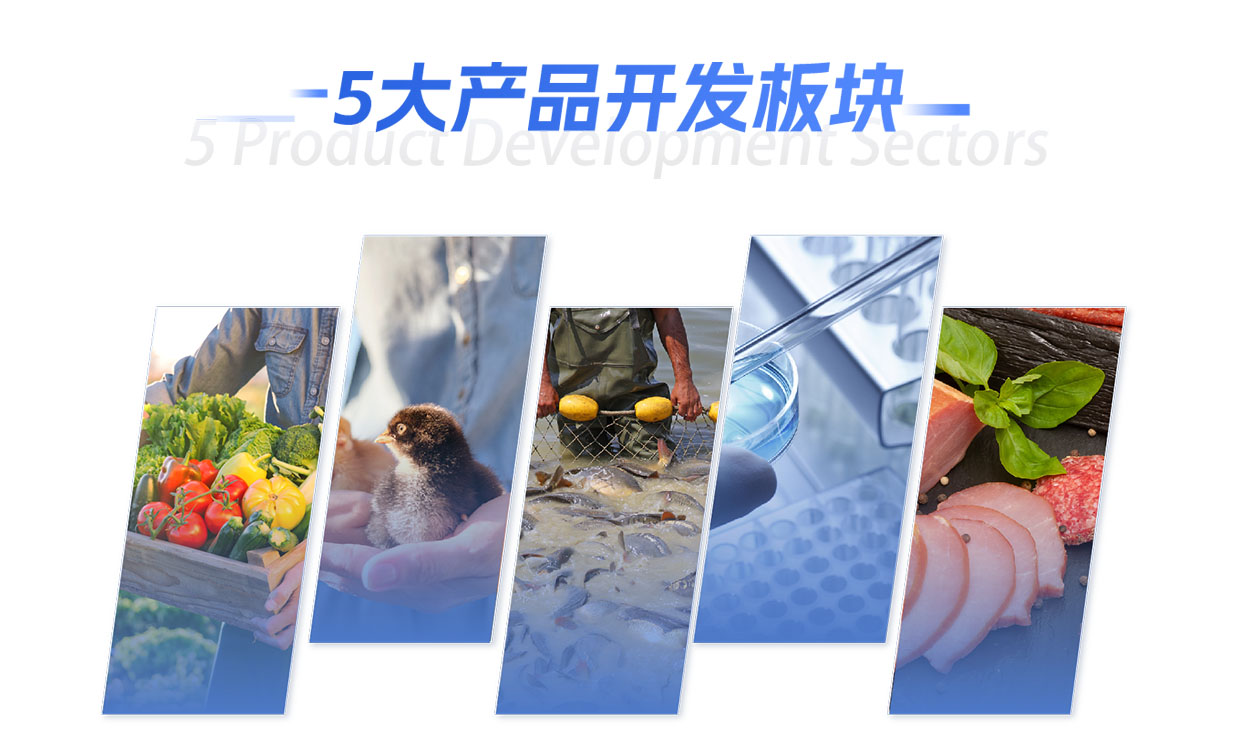 五大产品开发板块.jpg