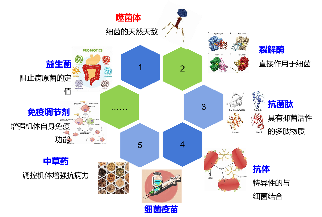 1731566670192186.png 111.png